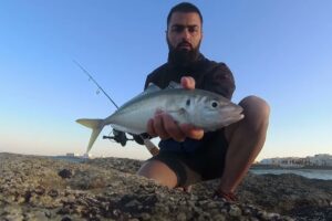 Los Mejores sitios para pescar en Cádiz